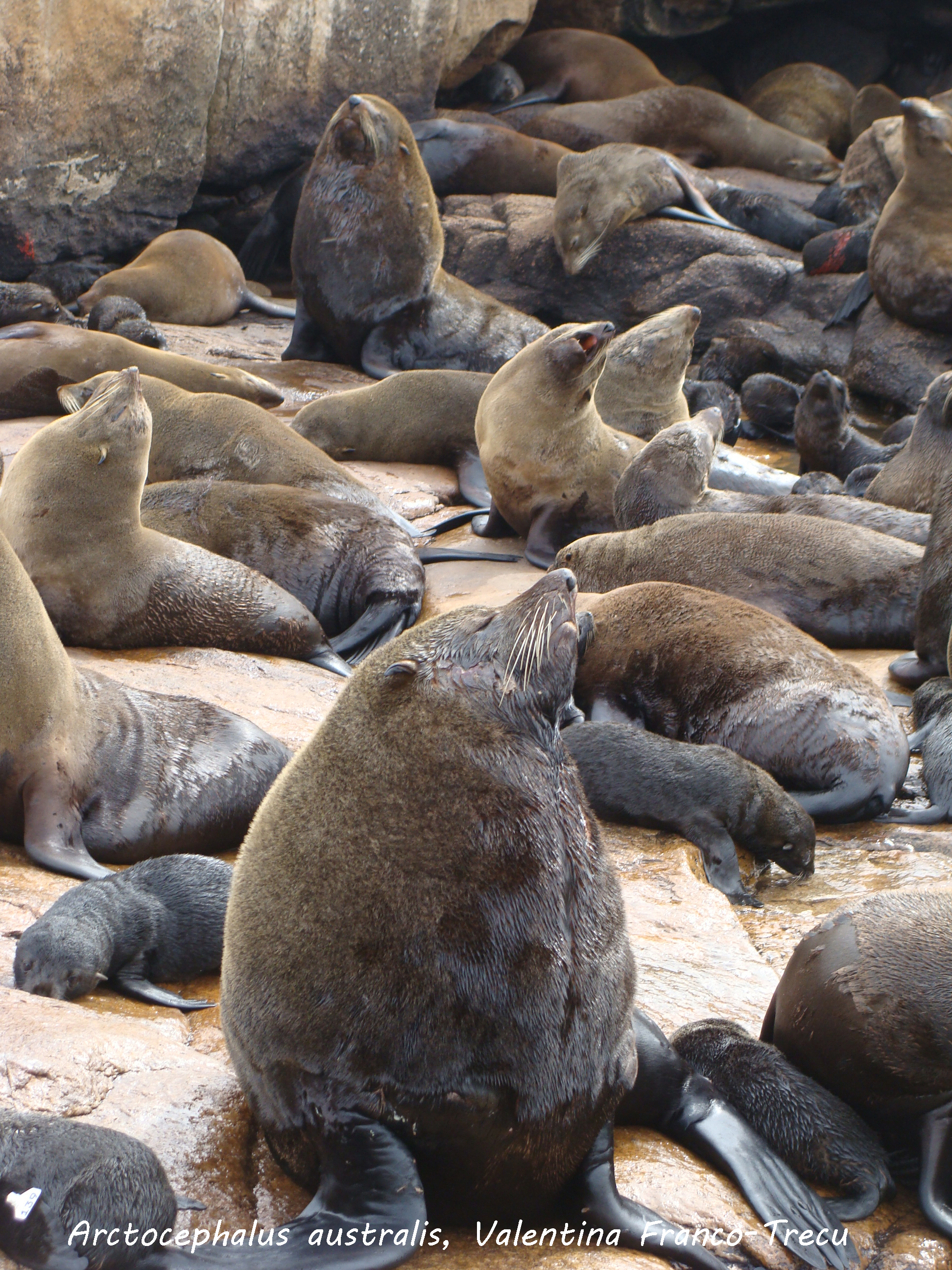 Imagen guía de resúmenes